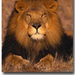  The Shortest But Probably Most Important Blog Post