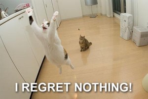 Fitness Business Passion