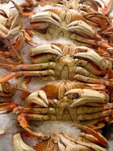 5539863870_f38dcf870a